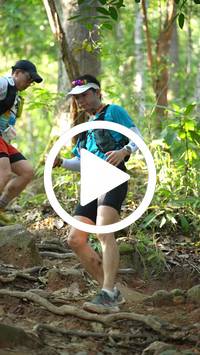 BIB:  <button type="button" onclick="openModal(27640377)" class="btn btn-primary btn-sm float-right" data-toggle="modal" data-target=".modal-high-quality">
                <i class="fa fa-download"></i> Download
                </button>